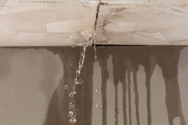 Professional Water Damage Repair technician working in Loon Lake, WA